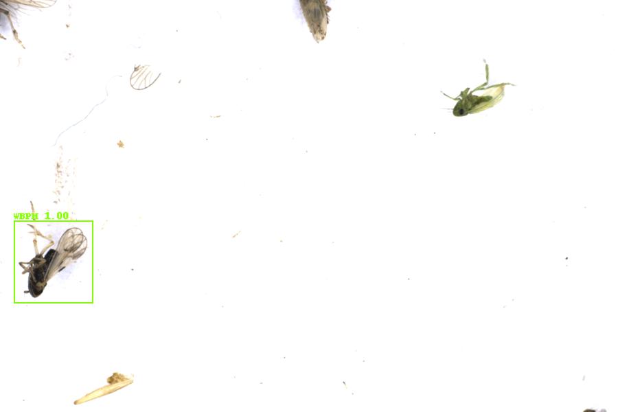Image 17